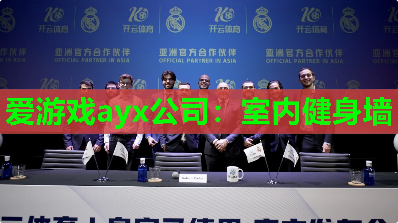 爱游戏ayx公司：室内健身墙