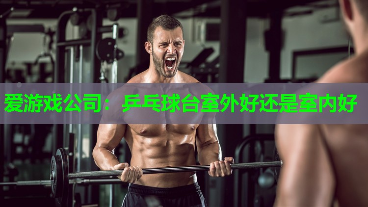 爱游戏公司：乒乓球台室外好还是室内好
