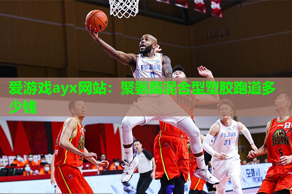 爱游戏ayx网站：聚氨酯混合型塑胶跑道多少钱