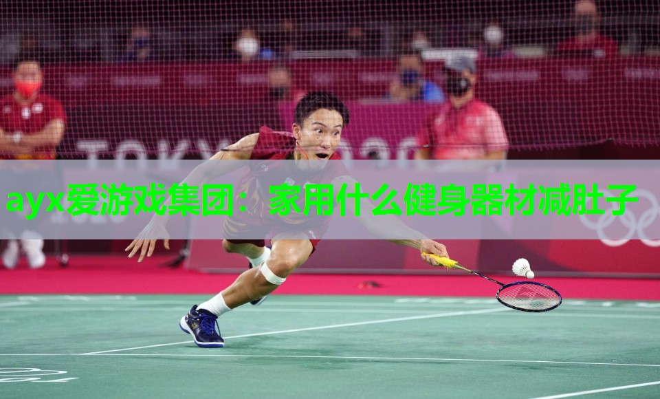 ayx爱游戏集团：家用什么健身器材减肚子