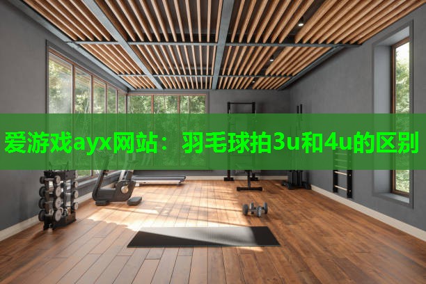 爱游戏ayx网站：羽毛球拍3u和4u的区别