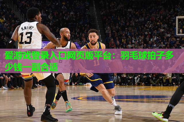 爱游戏登录入口网页版平台：羽毛球拍子多少钱一副合适