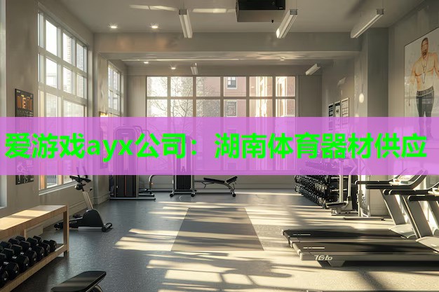 爱游戏ayx公司：湖南体育器材供应