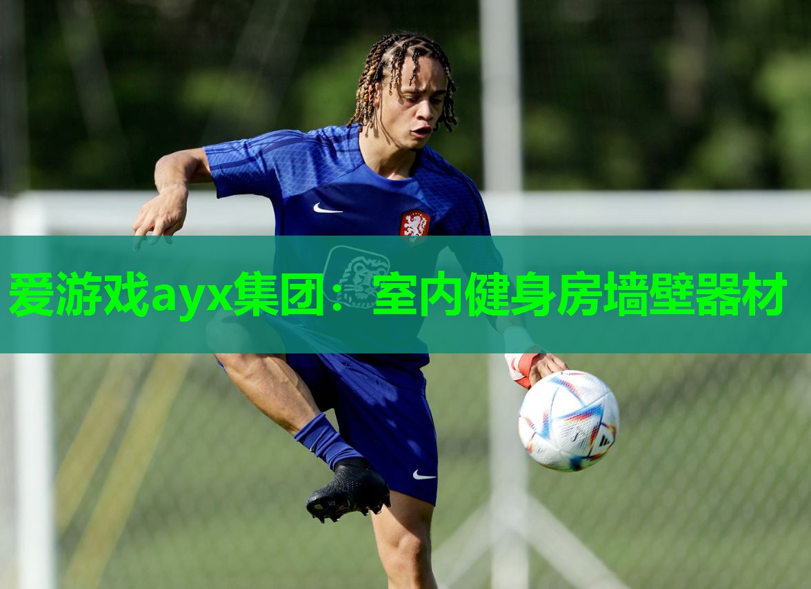室内健身房墙壁器材