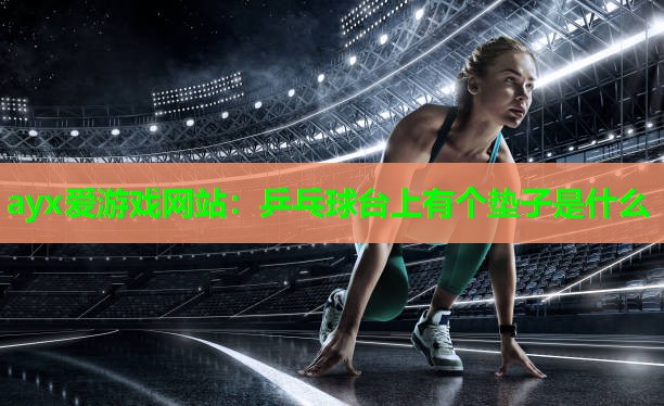 乒乓球台上有个垫子是什么