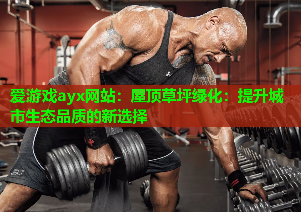 屋顶草坪绿化：提升城市生态品质的新选择