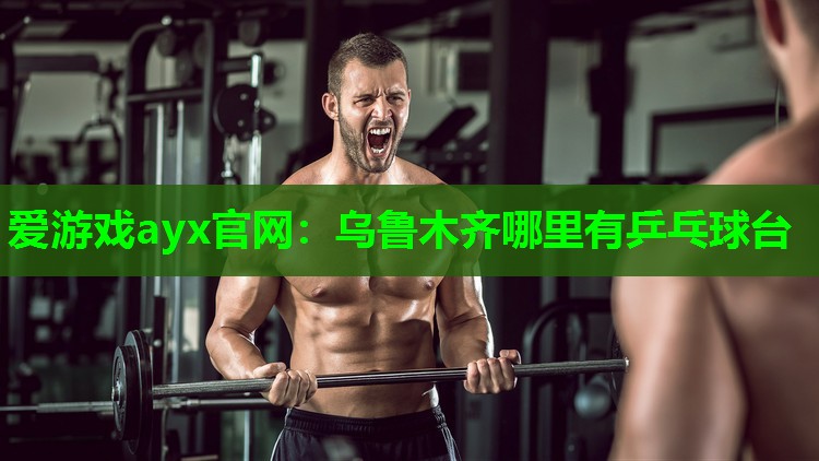 乌鲁木齐哪里有乒乓球台