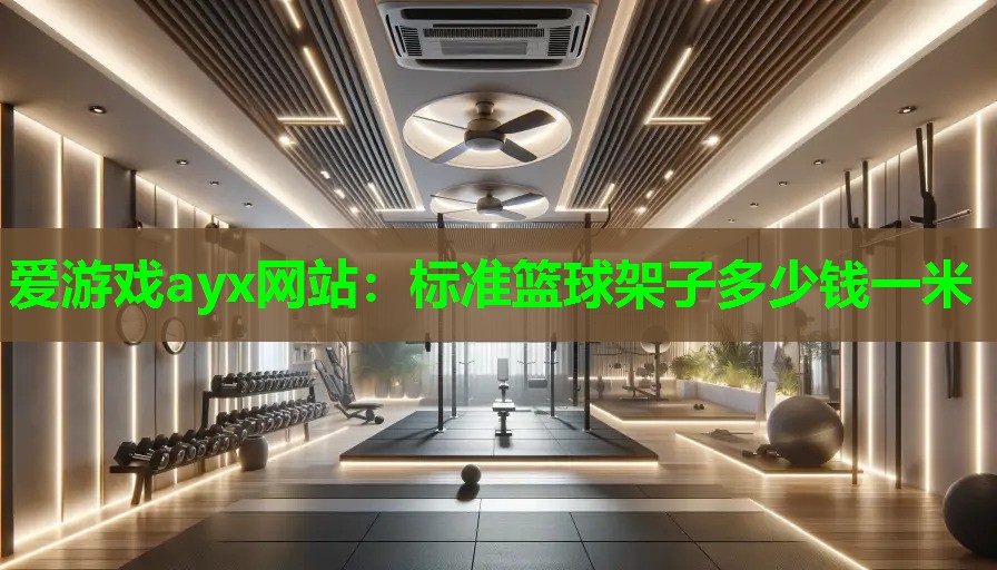 标准篮球架子多少钱一米